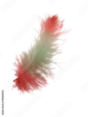 Colored feathers background - high resolution