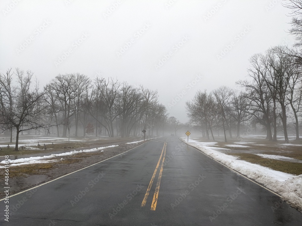 Fototapeta premium Winter misty park