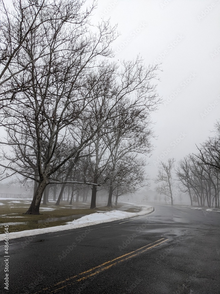 Winter misty park Winter misty park
