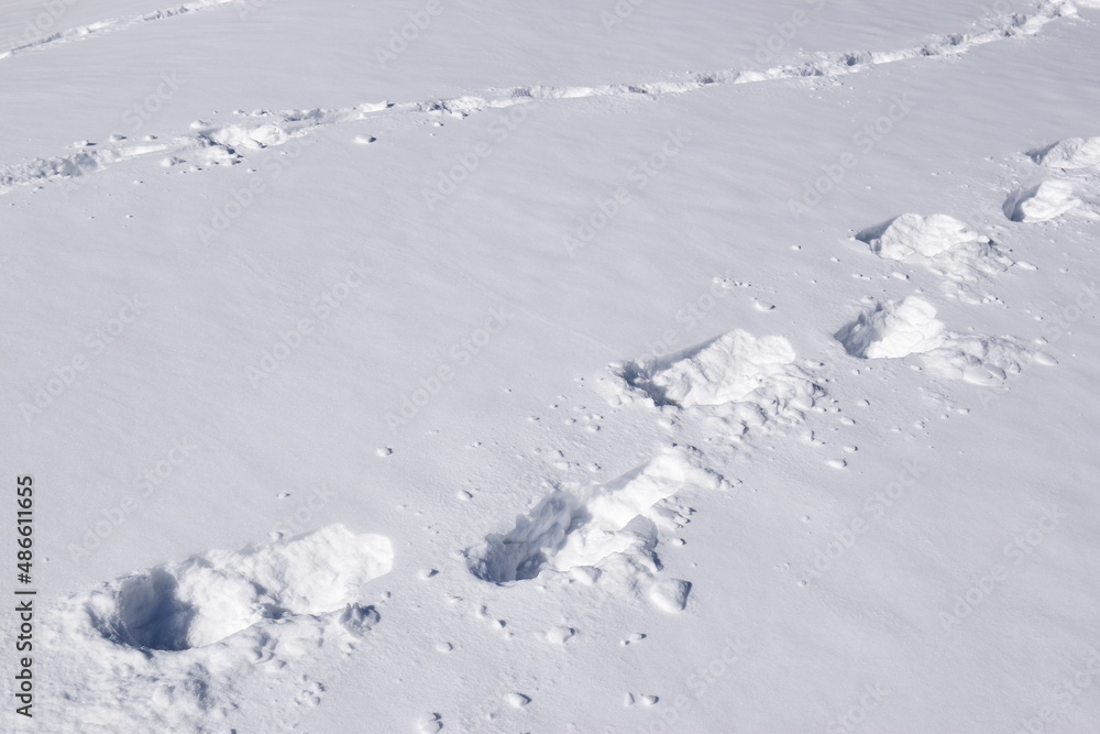 snow print texture snow print texture
