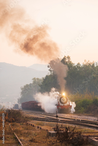 A steam train passing across a coppice photo