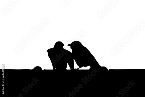 Deux oiseaux choucas des tours sur le sommet d'une toiture en tuiles de terre cuite. Silhouette noire, vecteur transparent.