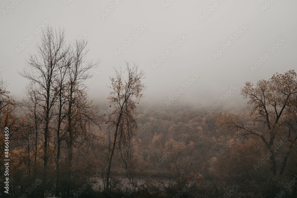 A foggy scenic autumn landscape A foggy scenic autumn landscape