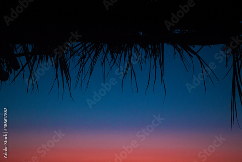 Dawn in front of a palapa silhouette in Michoacan photo