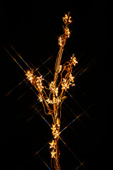 branch Stars garland