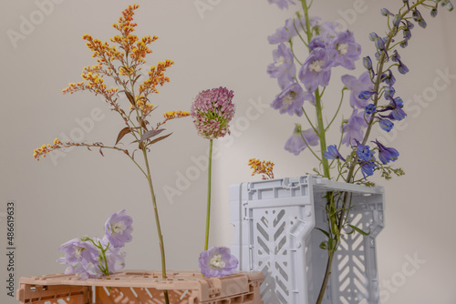 variety of flowers in pastel colored crates photo