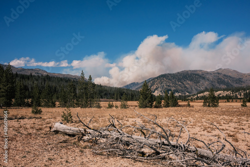 Wildfire in a rustic landscape photo