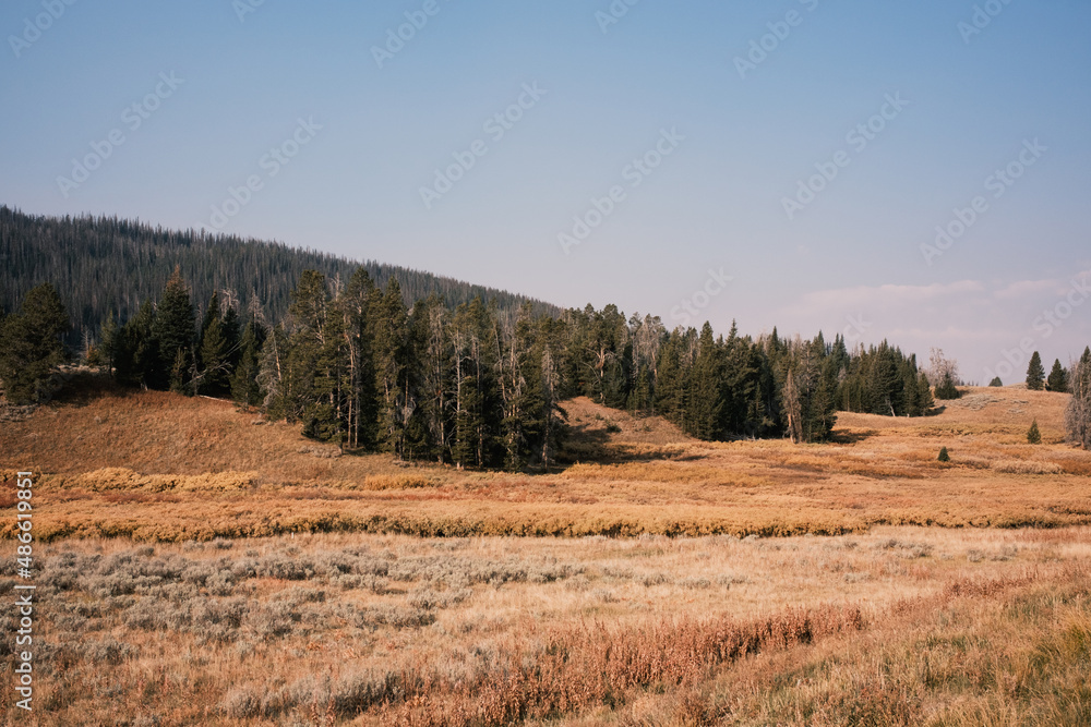 Earthy tones landscape Earthy tones landscape