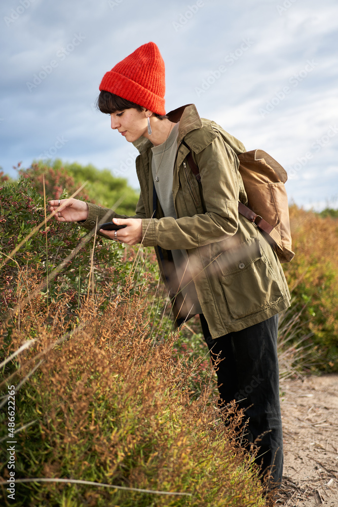 Traveler amiring green bush Traveler amiring green bush