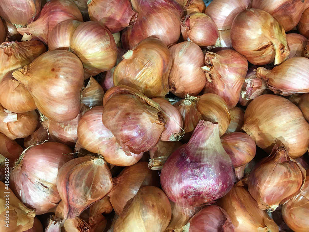 Colorful organic onions displayed at a market stand