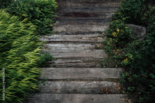 A leading wooden stairs path surrounded by greenery 