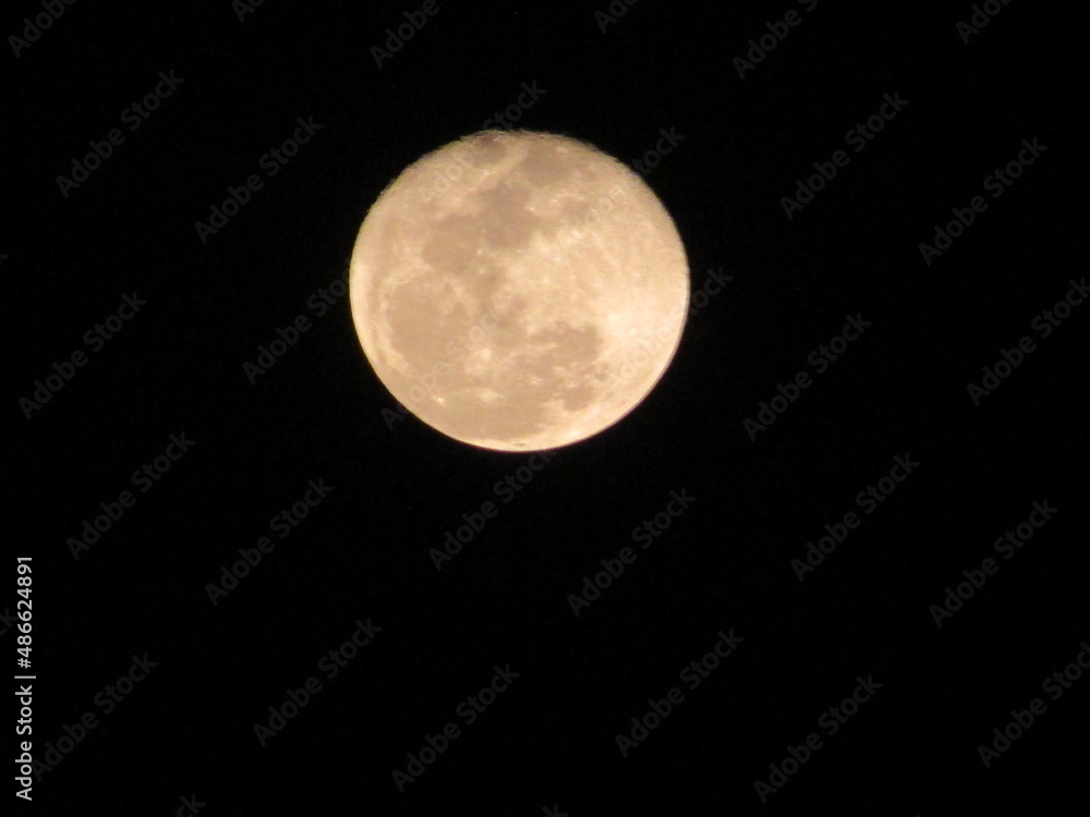 Fototapeta premium full moon in the night sky