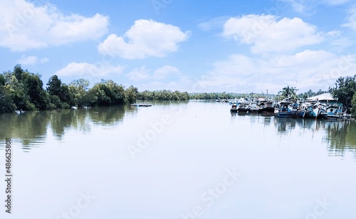 lake and trees