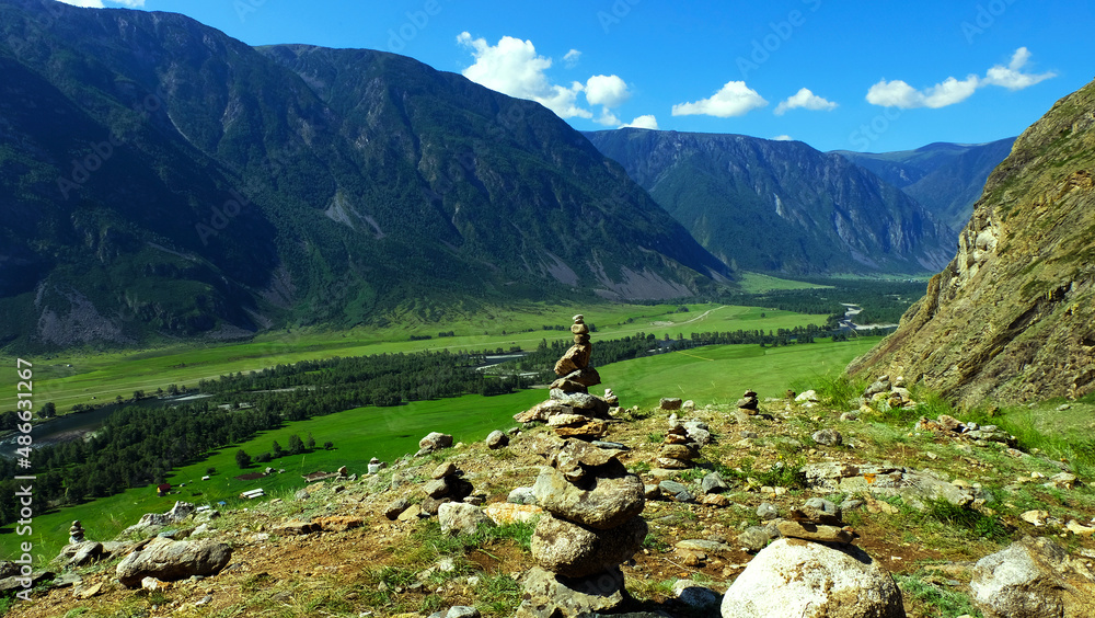 Chulyshman the valley.  Forest, mountains in the background. Panorama. Altai, Russia.