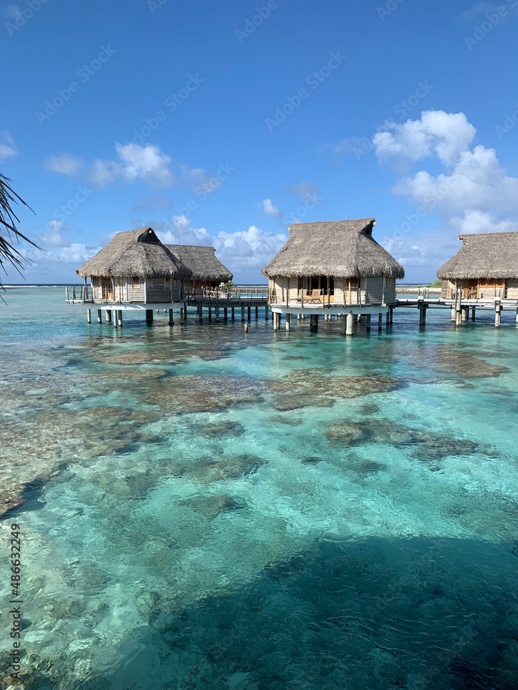 beach hut on tropical Tahitian  island