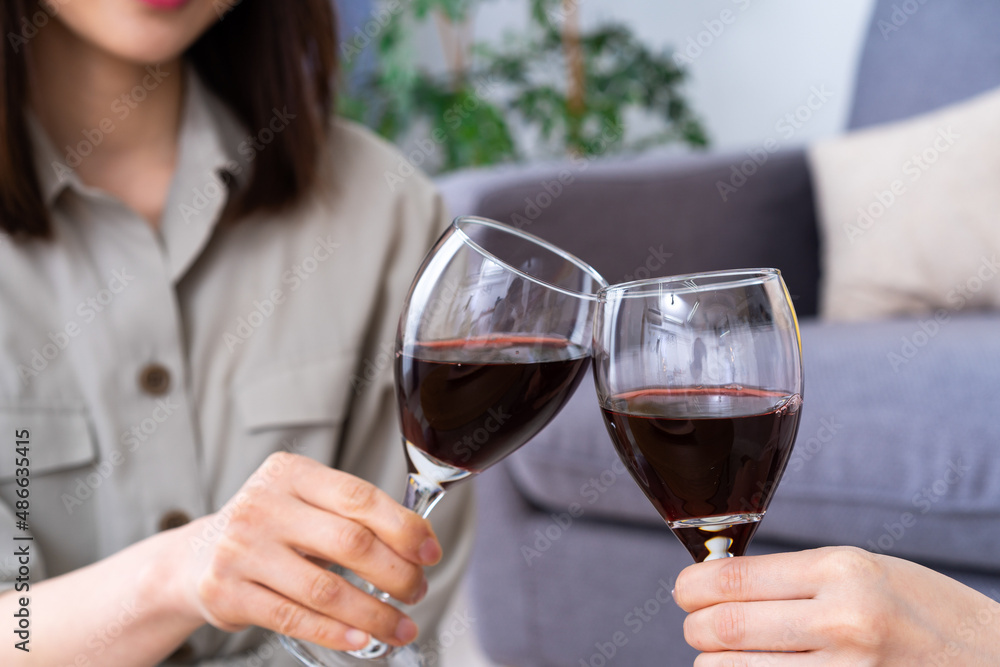 おうちで女子会をする若い女性たち おうちで女子会をする若い女性たち