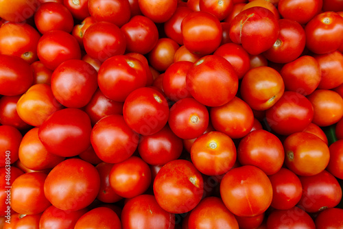 Red Plum tomatoes photo