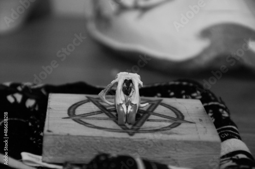 Rodent cranio on a pentagram with black background