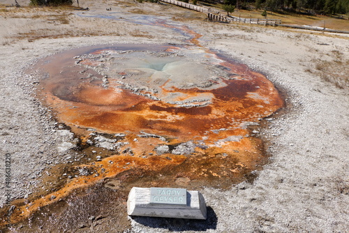 Tardy Geyser, Yellowstone National Park, Wyoming