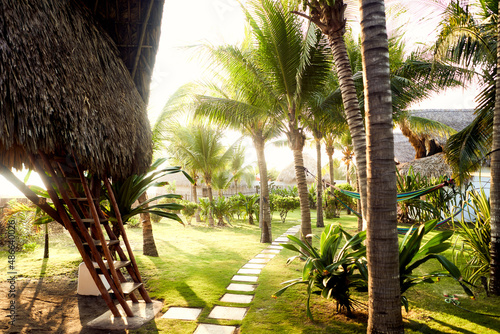 Tropical resort photo