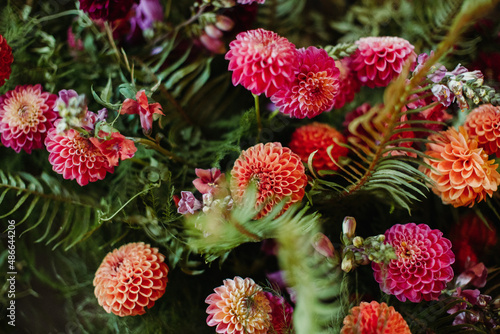 Dahlia floral arrangement photo