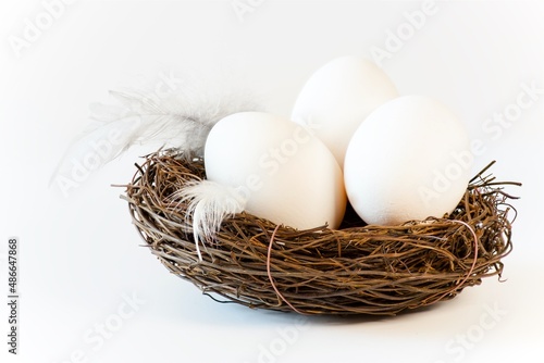 Three white eggs and feathers in a bird nest isolated on white