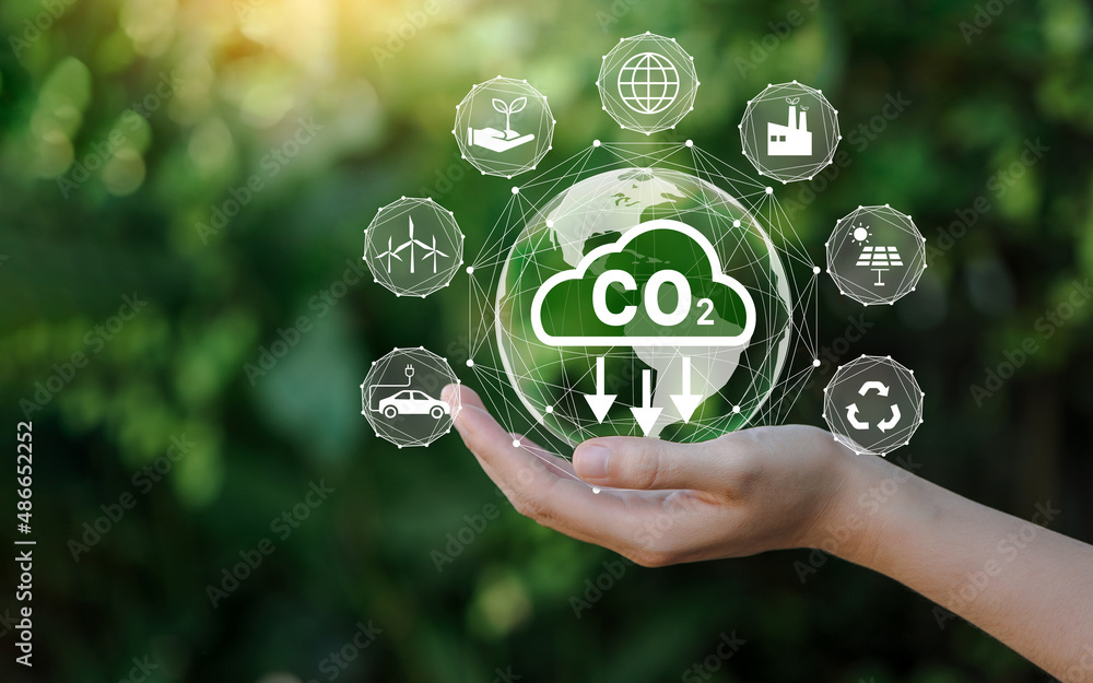 Obraz Reduce CO2 emission concept in the hand for environmental, global warming, Sustainable development and green business based on renewable energy. fototapeta, plakat