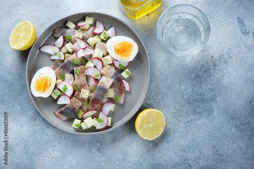 Salad with herring, radish, apple and chicken egg, top view on a light-blue stone background, horizontal shot with copy space