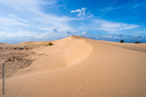 Landscape photo: Nam Cuong sand hill. Time: Saturday afternoon, February 5, 2022. Location: Ninh Thuan province.