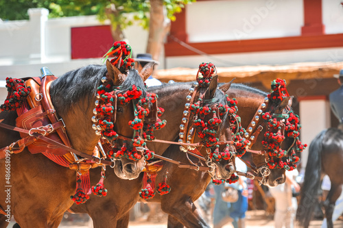 Traditional artisans ornaments on the head of carriage horses at the fair in Jerez de la Frontera Cadiz