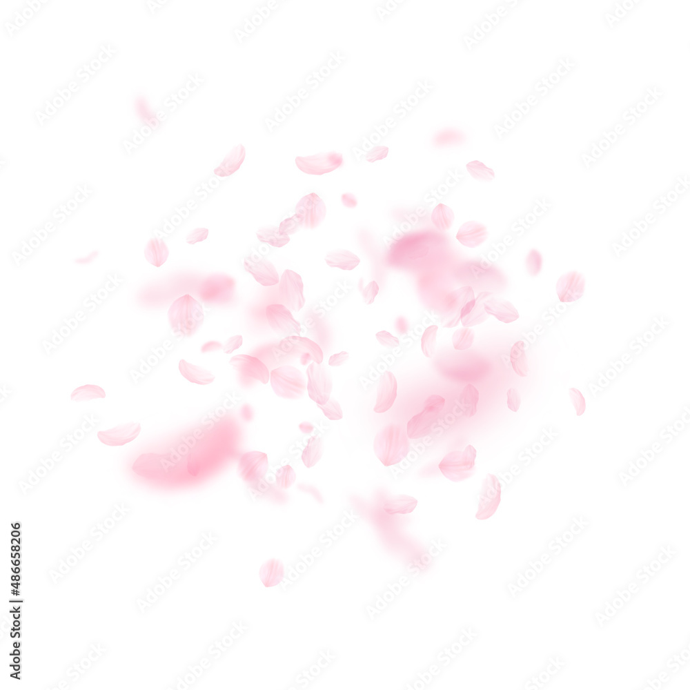 Sakura petals falling down. Romantic pink flowers explosion. Flying petals on white square background. Love, romance concept. Fascinating wedding invitation.