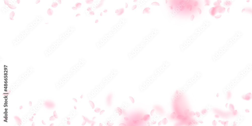 Sakura petals falling down. Romantic pink flowers border. Flying petals on white wide background. Love, romance concept. Impressive wedding invitation.