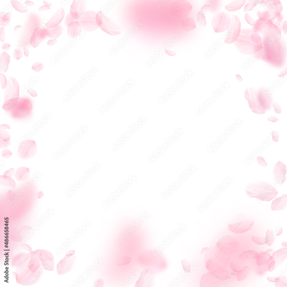 Fototapeta premium Sakura petals falling down. Romantic pink flowers vignette. Flying petals on white square background. Love, romance concept. Ideal wedding invitation.
