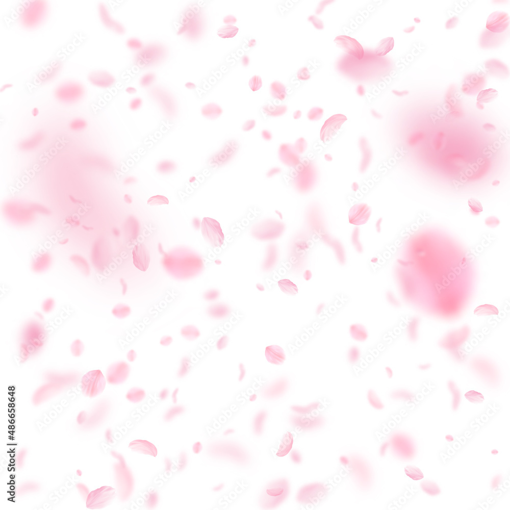 Sakura petals falling down. Romantic pink flowers falling rain. Flying petals on white square background. Love, romance concept. Original wedding invitation. Sakura petals falling down. Romantic pink flowers falling rain. Flying petals on white square background. Love, romance concept. Original wedding invitation.