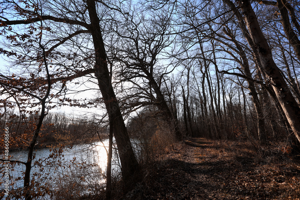 Spaziergang an der Donau entlang eines Altwasser Arms im Auwald mit Blick auf ein Fischgewässer wo gefischt wird, In Dillingen an der Donau. Spaziergang an der Donau entlang eines Altwasser Arms im Auwald mit Blick auf ein Fischgewässer wo gefischt wird, In Dillingen an der Donau.