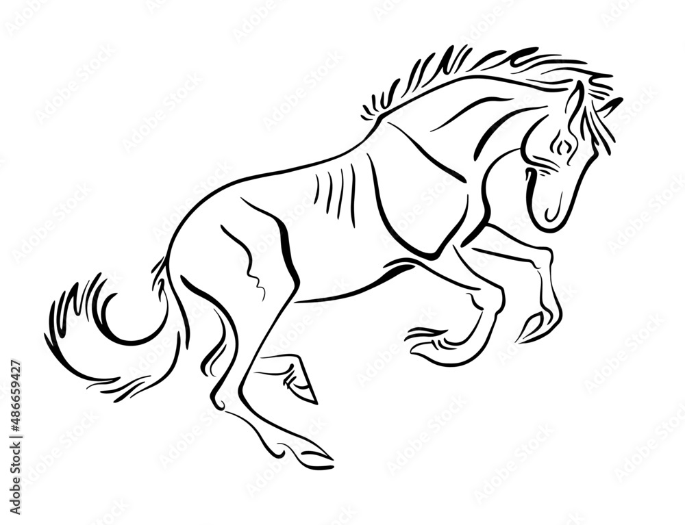 Obraz premium mustang horse illustration logo