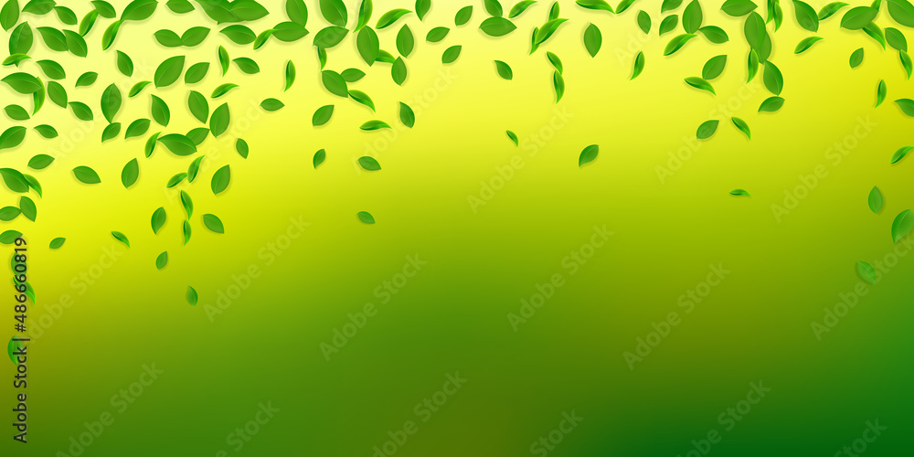Falling green leaves. Fresh tea chaotic leaves fly Falling green leaves. Fresh tea chaotic leaves fly