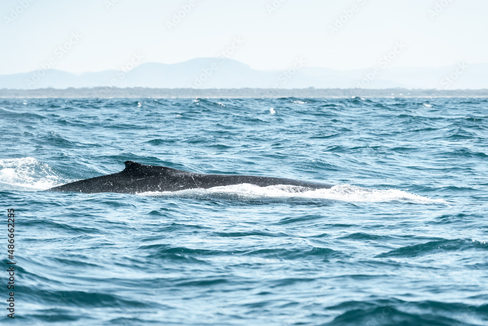 Naklejka premium Ocean water texture on the water 