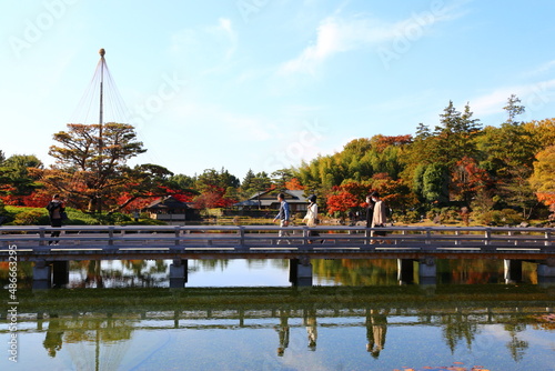 紅葉の中、池の上にかかる橋えお人々が渡る。昭和記念公園、日本庭園にて。