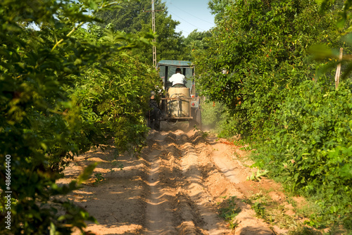 Farmer in the tractor sprays the garden