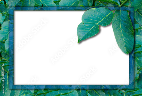 Wallpaper Mural Autumn postcard. Ash leaves on a green background with place for your text, top view Torontodigital.ca