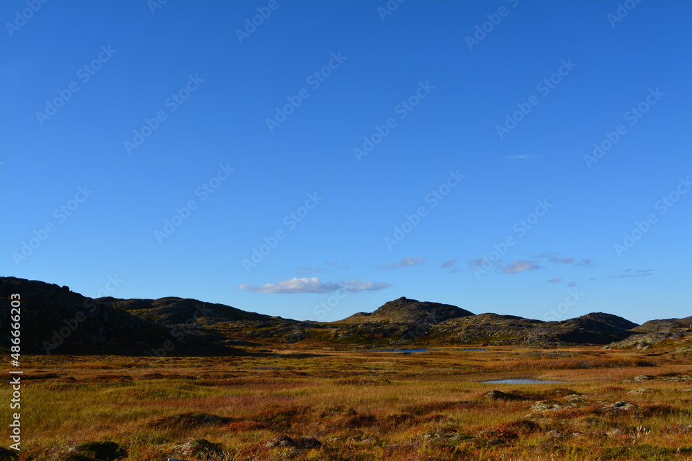 bright sunny morning on the plain