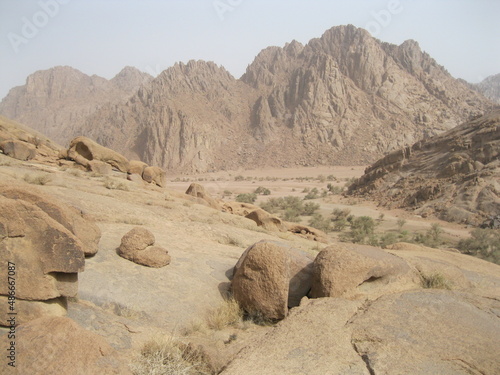 landscape in the desert