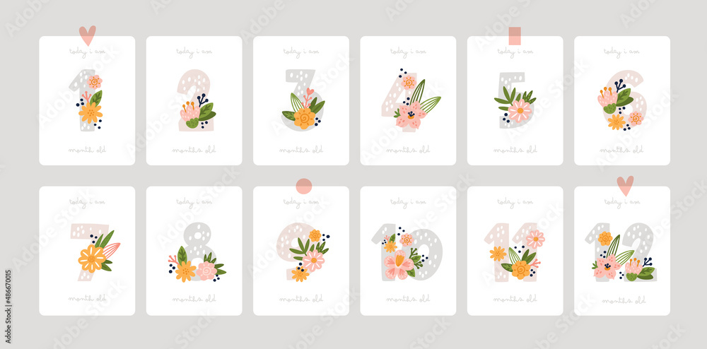 Baby shower milestone cards. Numbers with flowers in pastel color. Capturing print with all the special moments. Baby month anniversary card. Greeting poster for newborn