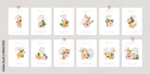 Baby shower milestone cards. Numbers with flowers in pastel color. Capturing print with all the special moments. Baby month anniversary card. Greeting poster for newborn
