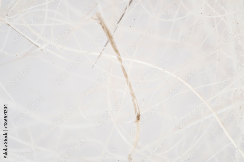 Grey wallpaper with abstract lines. Macro closeup of wool threads. Blurry creative concept, copy space banner. No selective focus, defocused background. Grey wallpaper with abstract lines. Macro closeup of wool threads. Blurry creative concept, copy space banner. No selective focus, defocused background.