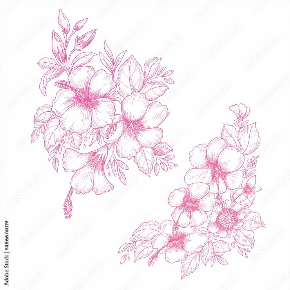 Hand draw wedding pink floral set sketch background