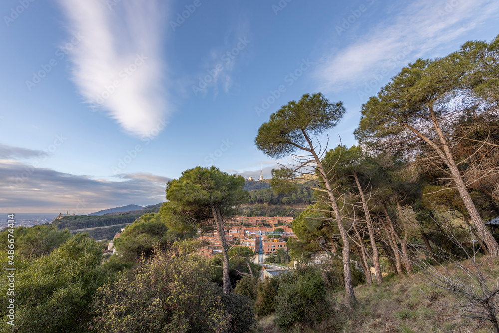 Picturesque landscape of Barcelona from the hill in the early morning. Pine trees in the foreground. Sunbeams through the clouds. View of Mount Tibidabo. Autumn in Barcelona, Spain.