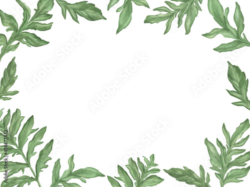 Watercolor Cornflowers Green leaves Frame isolated on a white background.