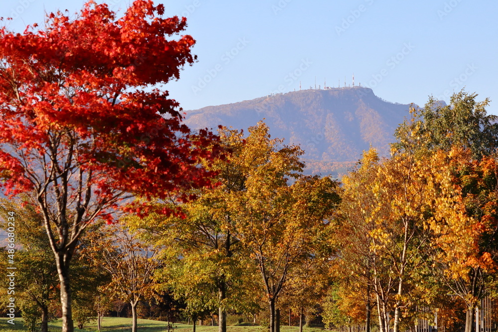 Naklejka premium 秋の前田森林公園と手稲山